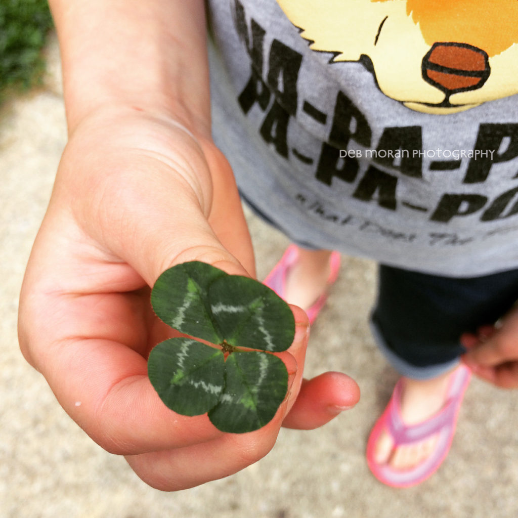 I'm looking over a four leaf clover... This is the fifth one that The Girl has found since Saturday. #cy365